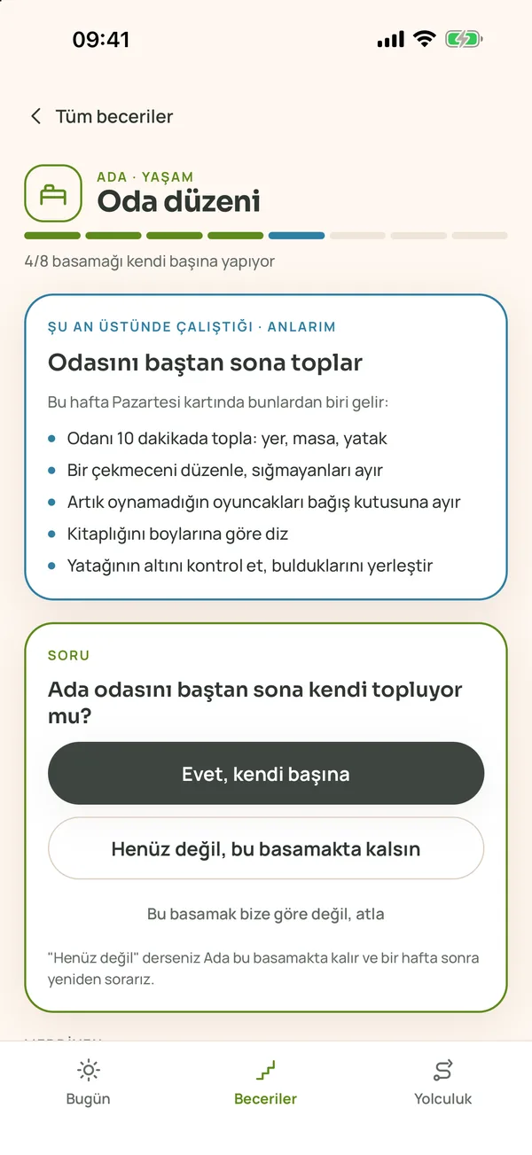 Bir beceri merdiveni